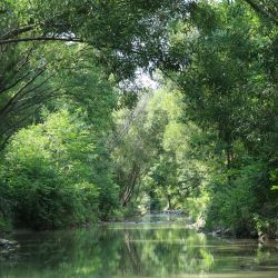 Maison am Liesingbach Lage und Umgebung Fluesse