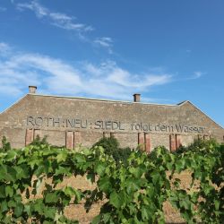 Maison am Liesingbach Lage und Umgebung Zukunftshof