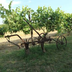 Maison am Liesingbach Lage und Umgebung Gugumuck Feld