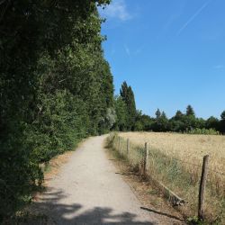 Maison am Liesingbach Lage und Umgebung Spazierweg